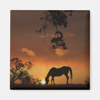 Beautiful Day Sunrise With Horse Magnet