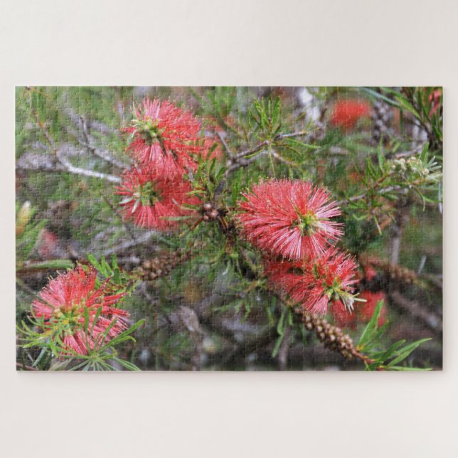 Beautiful deep pink Australian bottlebrush Jigsaw Puzzle (Horizontal)