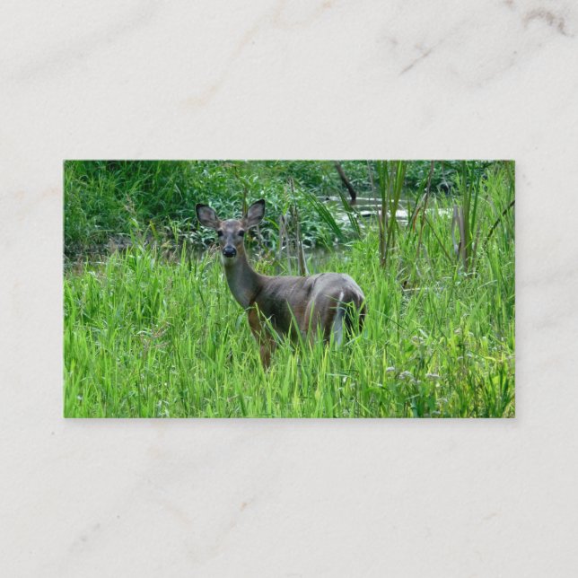 Beautiful Deer Business Cards (Front)
