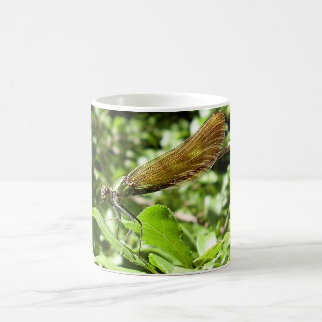 Beautiful Demoiselle Bug Mug (Center)