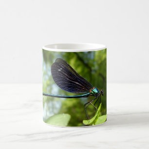 Beautiful Demoiselle Bug Mug
