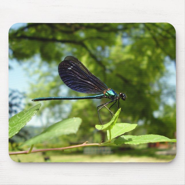 Beautiful Demoiselle Mouse Mat (Front)