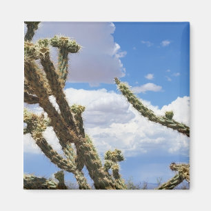 Beautiful Desert Cactus Photo Magnet
