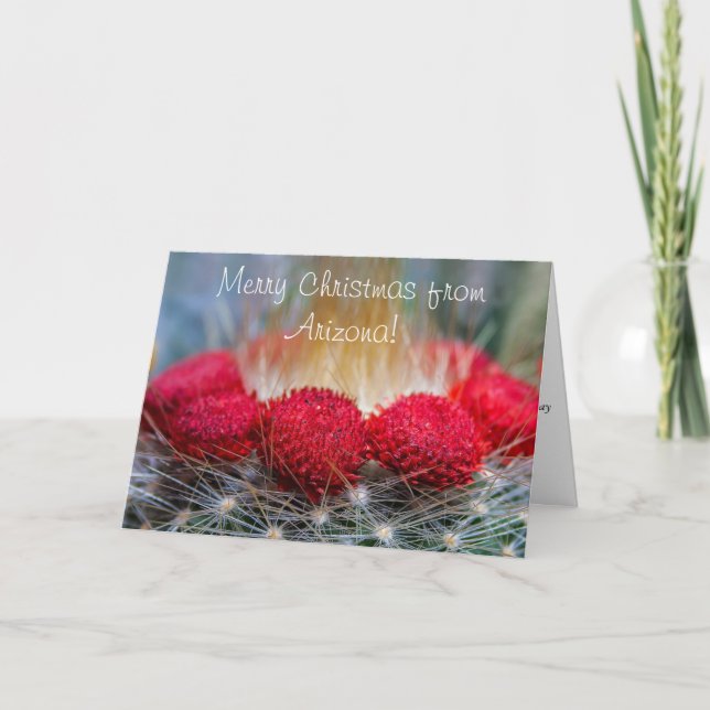 Beautiful Desert Greetings With Red Cactus Flowers Holiday Card (Front)