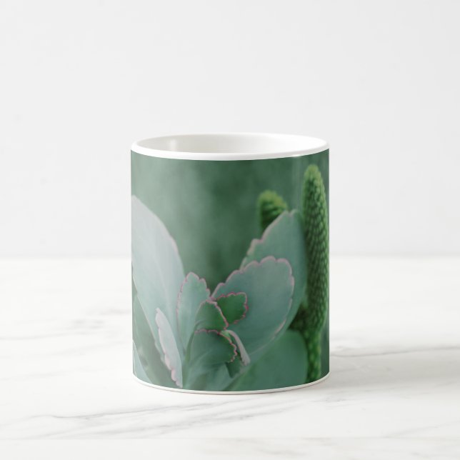 Beautiful Desert Plant Art Photograph Coffee Mug (Center)