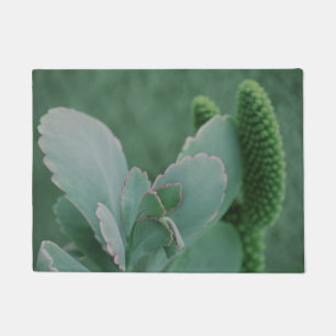 Beautiful Desert Plant Art Photograph Doormat