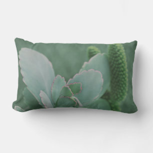 Beautiful Desert Plant Art Photograph Lumbar Cushion