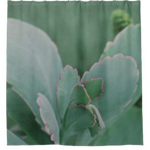 Beautiful Desert Plant Art Photograph Shower Curtain