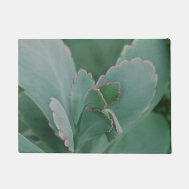 Beautiful Desert Plants Doormat (Front)