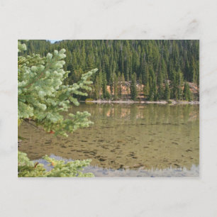 Beautiful Devils Lake Oregon Postcard