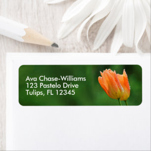 Beautiful Dew-Kissed Floral Pastel Orange Tulips Return Address Label