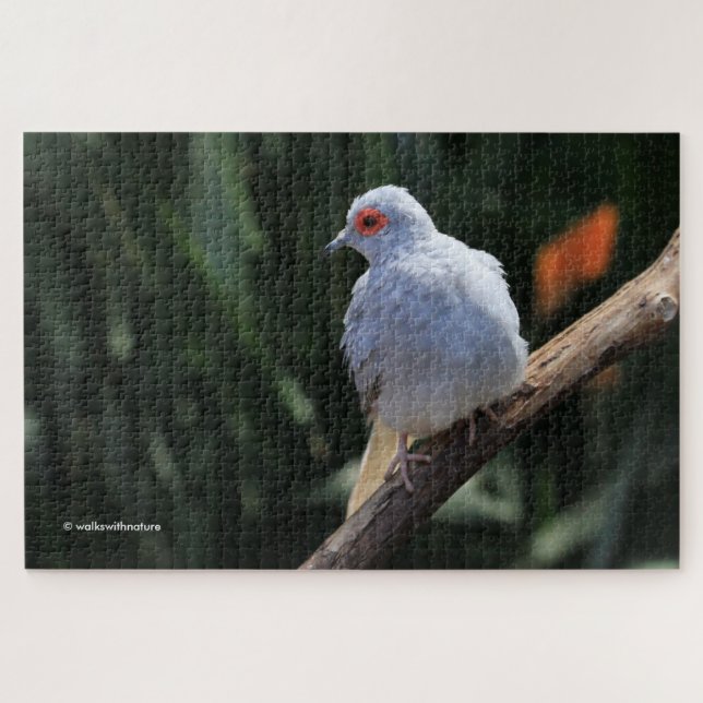 Beautiful Diamond Dove in the Spotlight Jigsaw Puzzle (Horizontal)