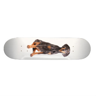 beautiful doberman pinscher skateboard