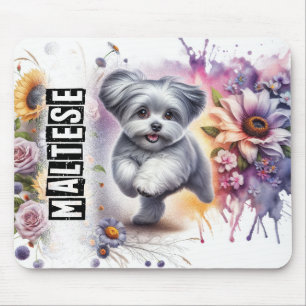 Beautiful Dog Breeds/ Maltese Dog Mouse Pad
