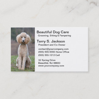 Beautiful Dog Care Business Card