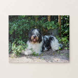 beautiful dog jigsaw puzzle