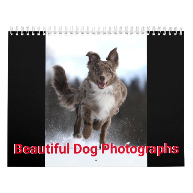 Beautiful Dog Photos Calendar (Cover)