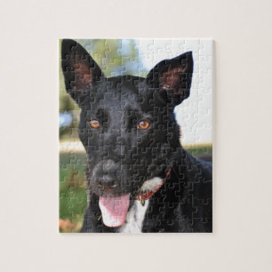Beautiful dog with hazel eyes jigsaw puzzle