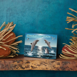 Beautiful Dolphin Scripture Plaque Philippians 4:4