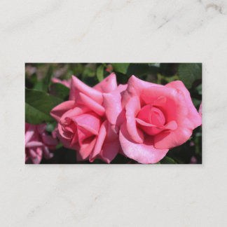 beautiful double perfect hot pink rose flowers business card
