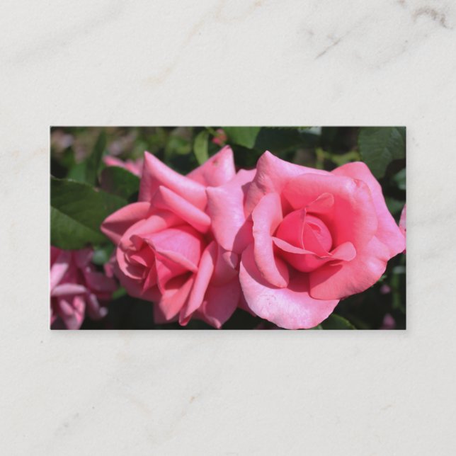 beautiful double perfect hot pink rose flowers business card (Front)