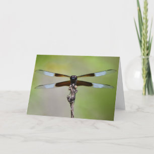 Beautiful Dragonfly Close Up Note Card