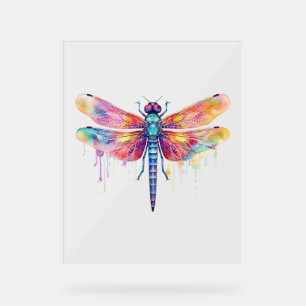 Beautiful Dragonfly Kiss Heaven Insect Lover  Acrylic Sign