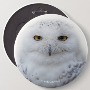 Beautiful, Dreamy and Serene Snowy Owl 6 Cm Round Badge