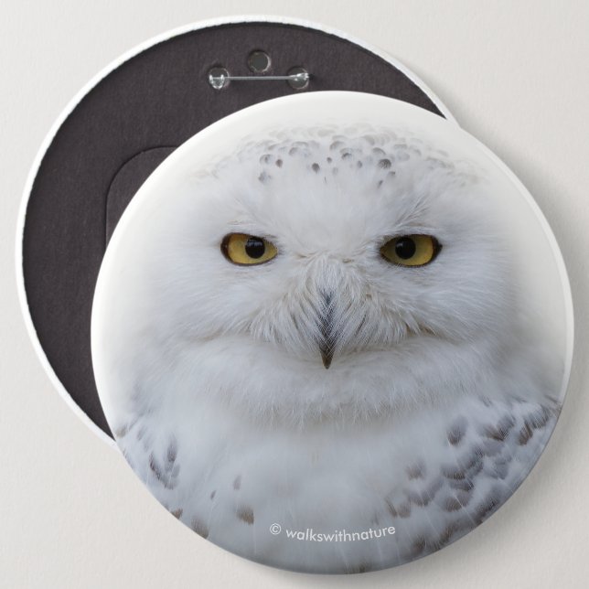 Beautiful, Dreamy and Serene Snowy Owl 6 Cm Round Badge (Front & Back)