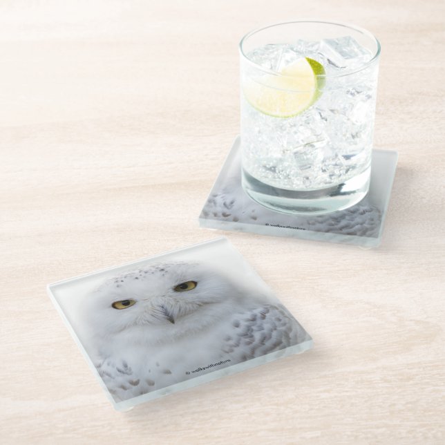 Beautiful, Dreamy and Serene Snowy Owl Glass Coaster (Angled)