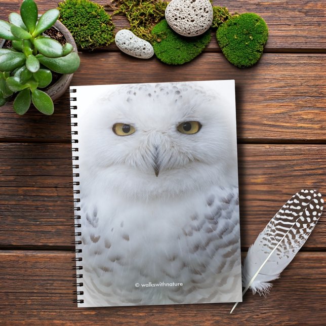 Beautiful, Dreamy and Serene Snowy Owl Notebook (Beautiful and Serene Snowy Owl Journal Cover Photo)