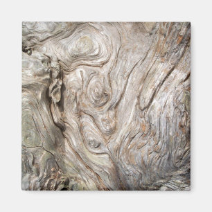 Beautiful Driftwood Nature's Artwork Magnet