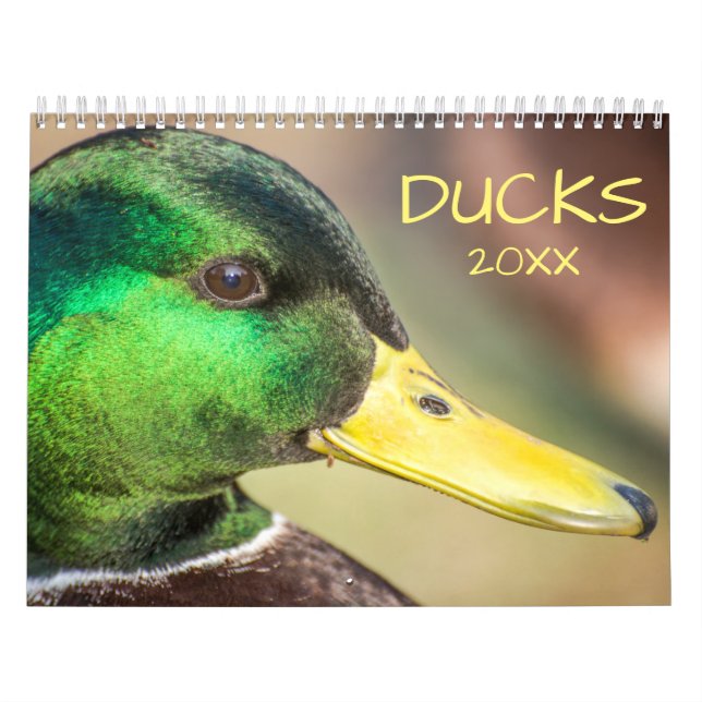 Beautiful Ducks Photography Calendar (Cover)