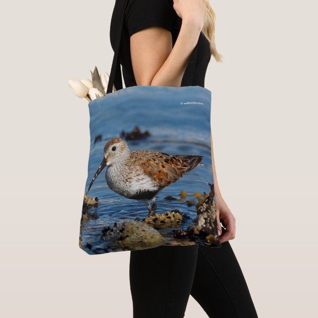 Beautiful Dunlin Sandpiper Goes Solo on the Beach Tote Bag (Close Up)