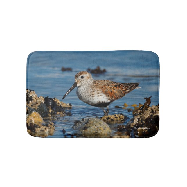 Beautiful Dunlin Shorebird at the Beach Bath Mat (Front)