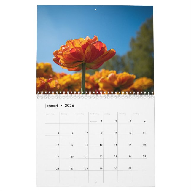 Beautiful Dutch Tulips Calendar (Jan 2026)