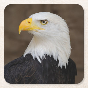 Beautiful Eagle Coaster Set