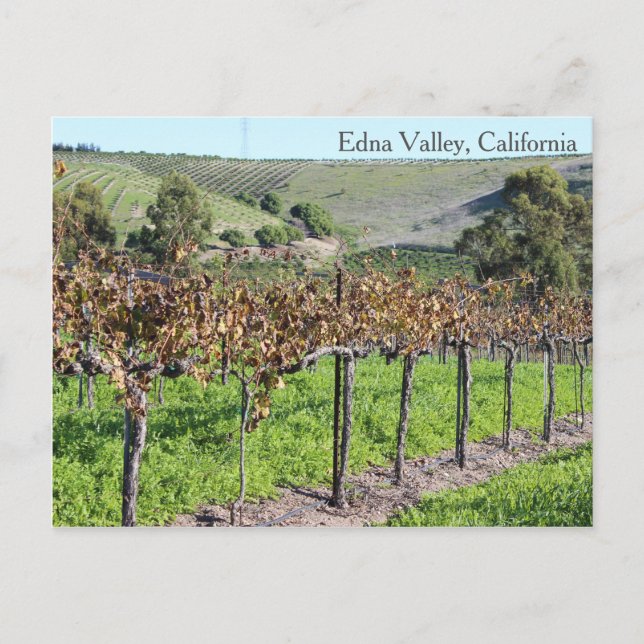 Beautiful Edna Valley Postcard! Postcard (Front)