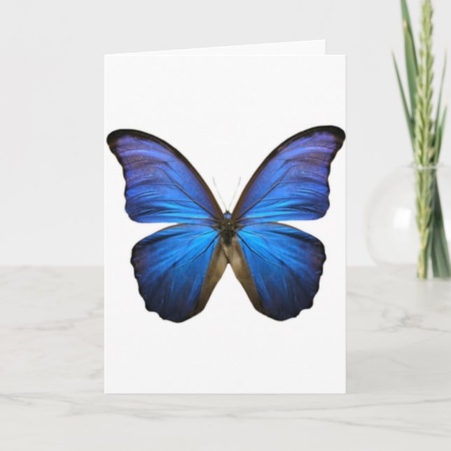 Beautiful Electric Blue Butterfly Card (Front)