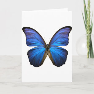 Beautiful Electric Blue Butterfly Card