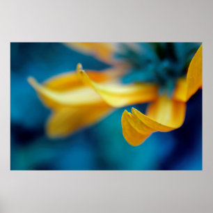 Beautiful Elegant Abstract Yellow Coneflower Petal Poster
