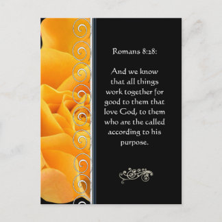 Beautiful Elegant Orange Rose Christian Encourage Postcard
