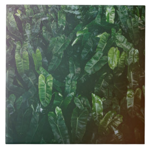 Beautiful & Elegant Tropical Leaves Ceramic Tiles