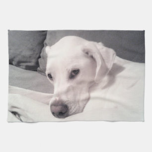 Beautiful Elegant White Labrador Mix Dog Grey Kitc Tea Towel
