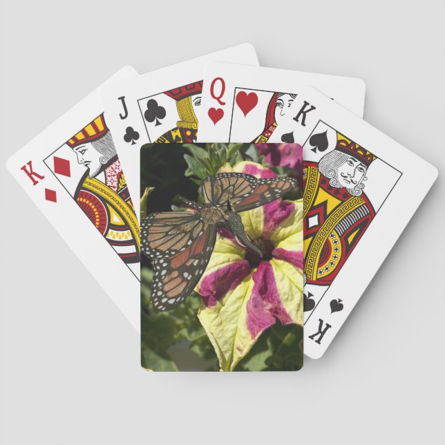 Beautiful Elephant Butterfly Playing Cards (Back)