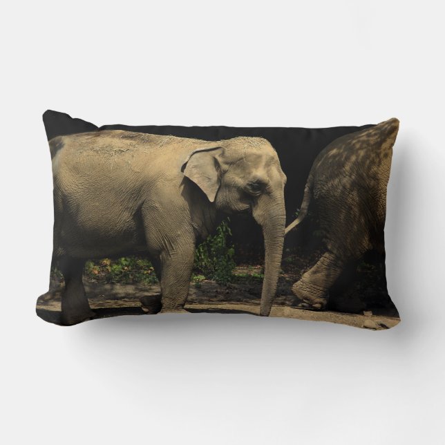 Beautiful Elephant Lumbar Cushion (Front)