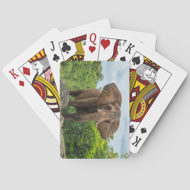 Beautiful Elephant Playing in the Grass Cards (Back)