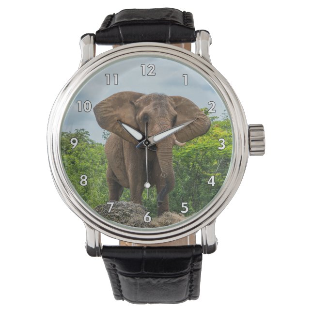 Beautiful Elephant Playing in the Grass Watch (Front)