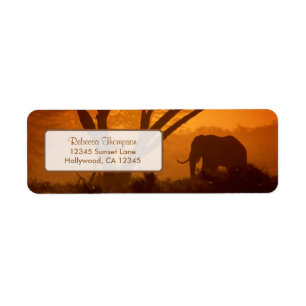 Beautiful Elephant Silhouette during Sunset Return Address Label