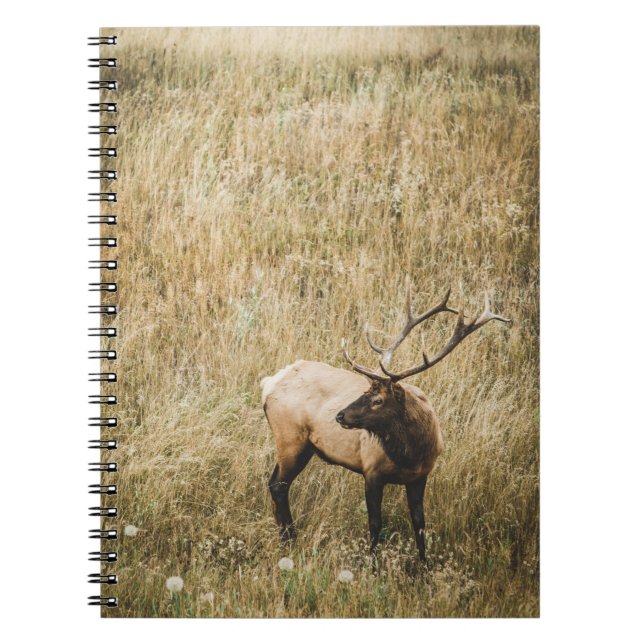 BEAUTIFUL ELK DEER NOTEBOOK (Front)